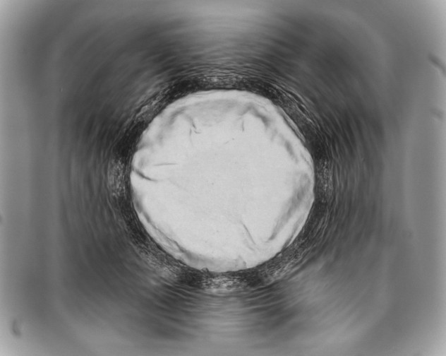 X0000095880511200802081058