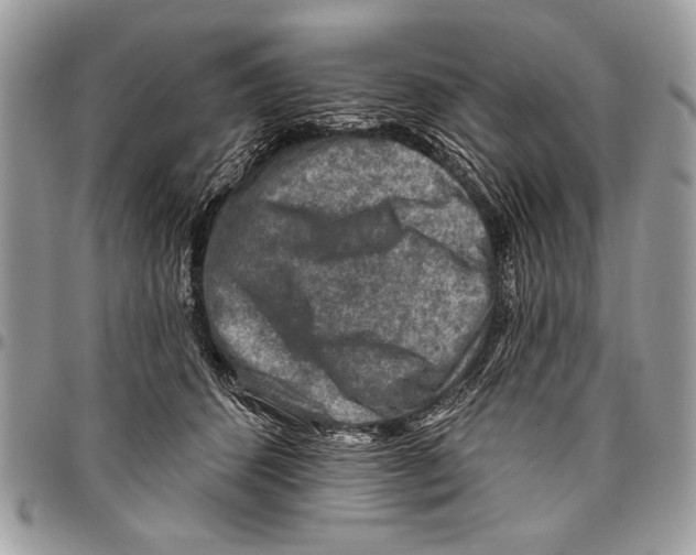 X0000095880512200802081058