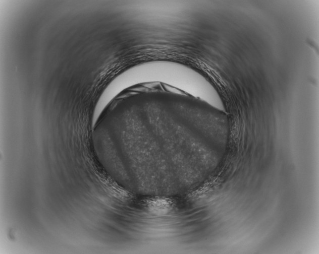 X0000095880513200802081058