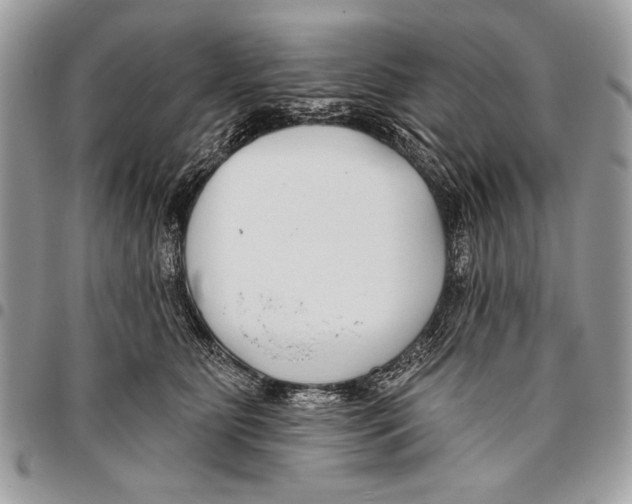 X0000095880515200802081058