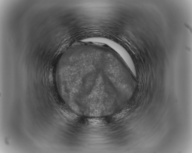 X0000095880516200802081058