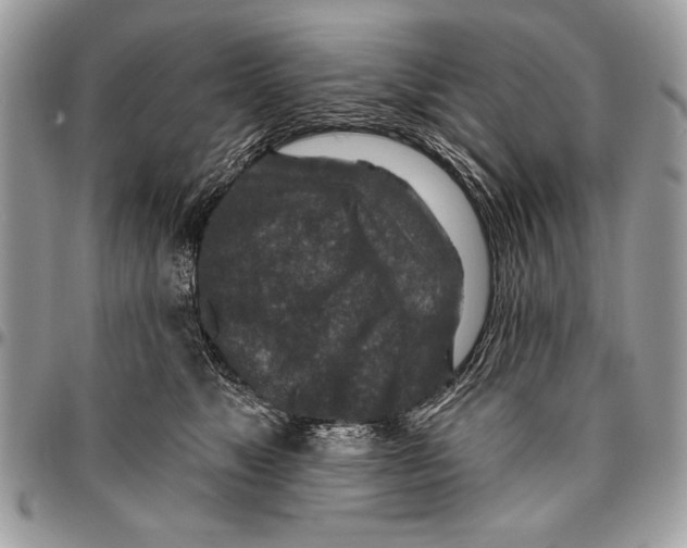 X0000095880517200802081058