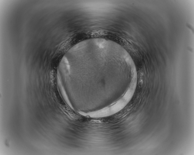 X0000095880519200802081058