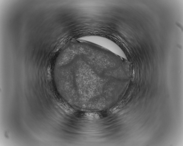 X0000095880520200802081058