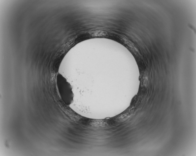 X0000095880521200802081058