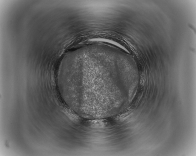 X0000095880524200802081058