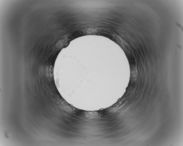 X0000095880525200802081058