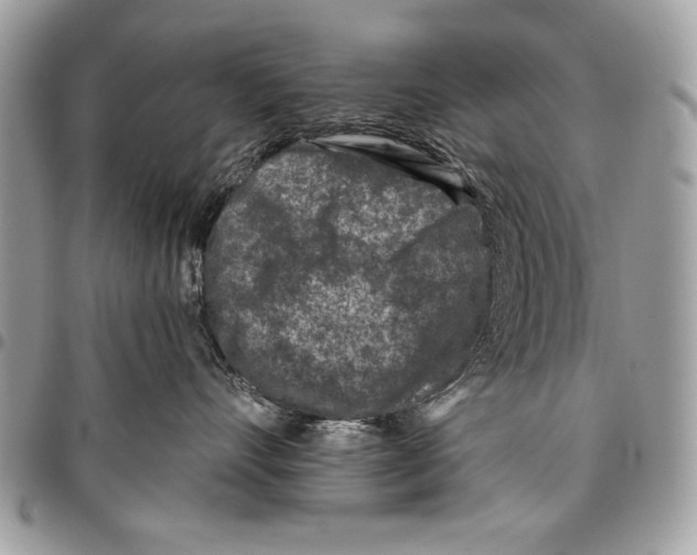 X0000095880528200802081058