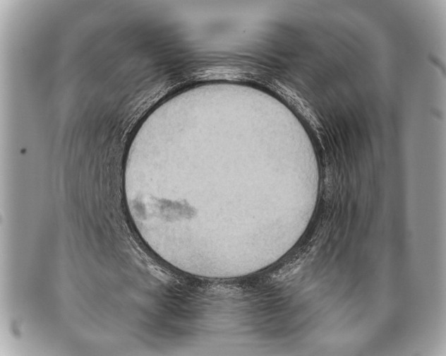 X0000095880529200802081057