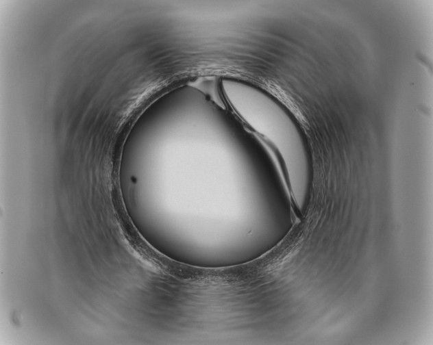 X0000095880530200802081057