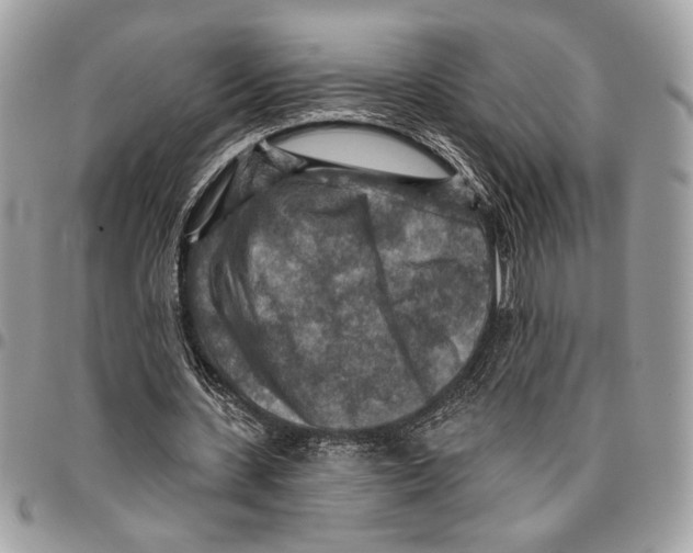 X0000095880531200802081057