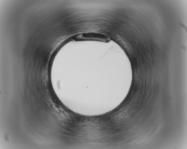 X0000095880532200802081057