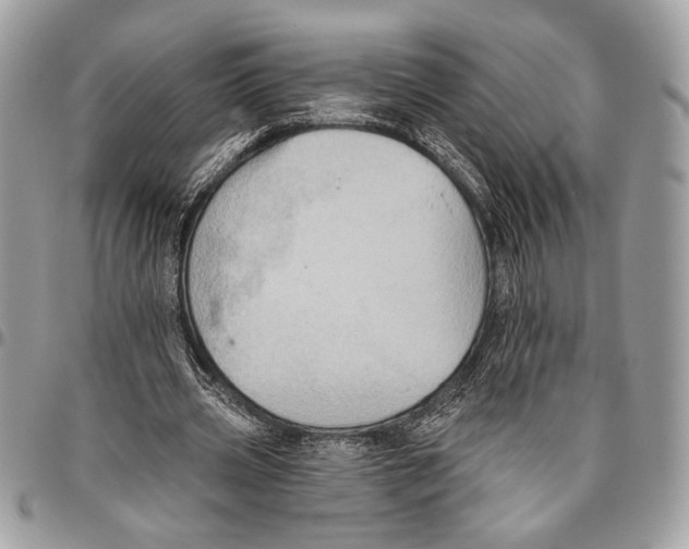 X0000095880533200802081057