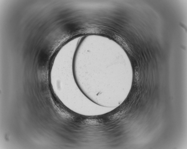 X0000095880534200802081057