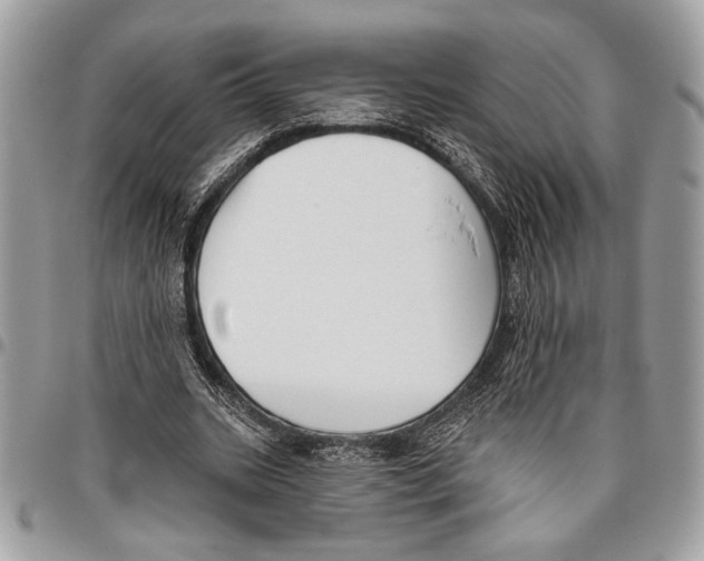 X0000095880535200802081057