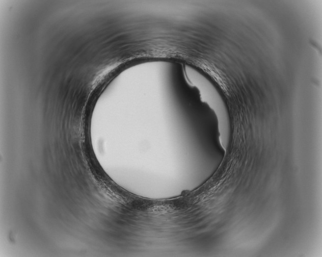 X0000095880536200802081057