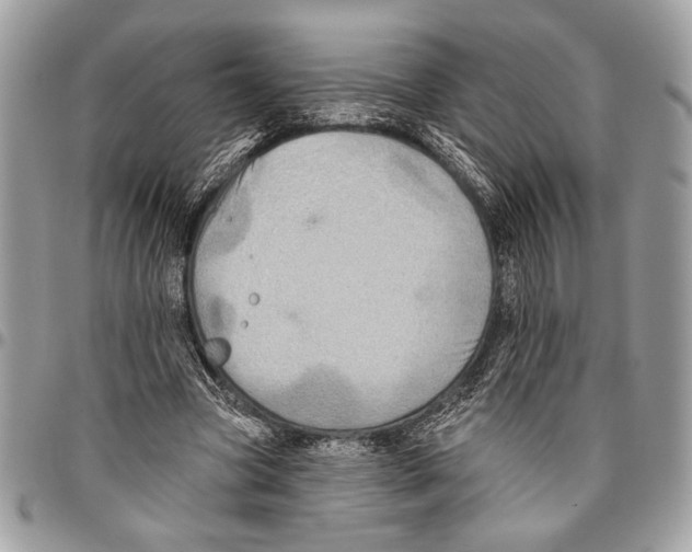 X0000095880537200802081057