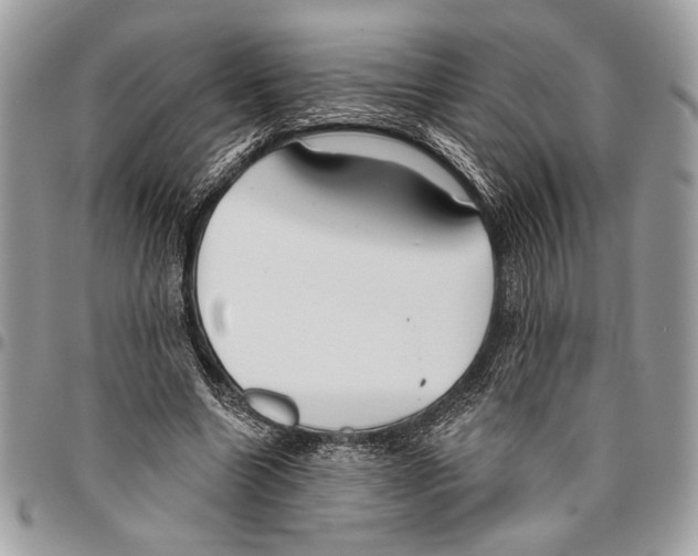 X0000095880538200802081057