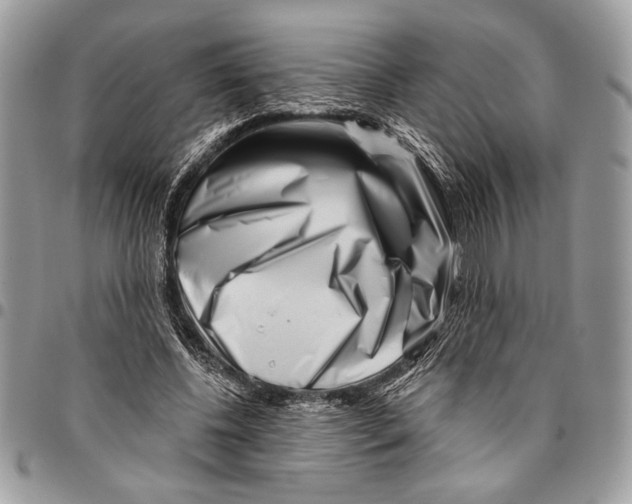 X0000095880540200802081057