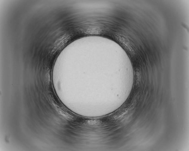 X0000095880541200802081057