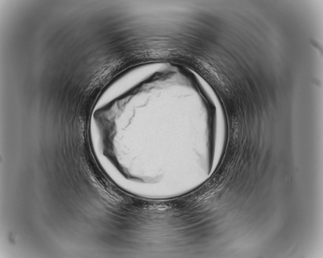 X0000095880542200802081057