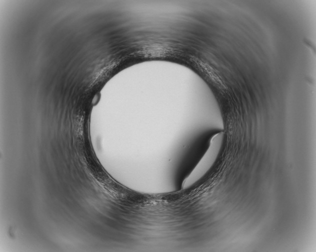 X0000095880543200802081057