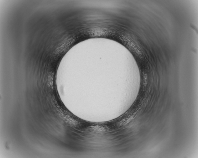 X0000095880545200802081057