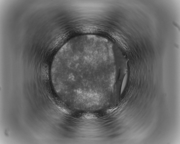 X0000095880547200802081057