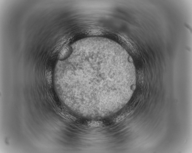 X0000095880549200802081057