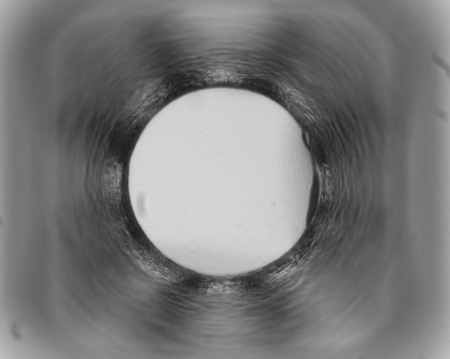 X0000095880550200802081057