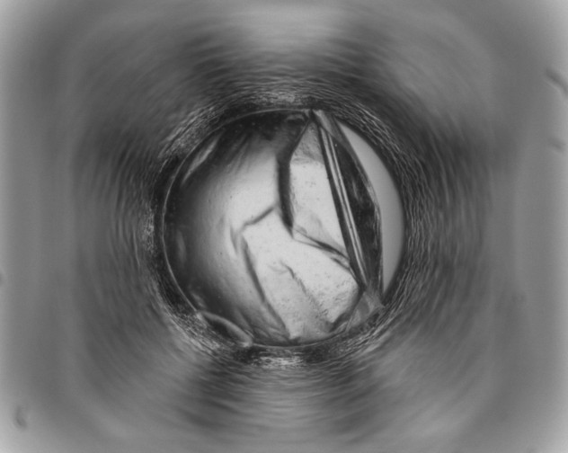 X0000095880552200802081057