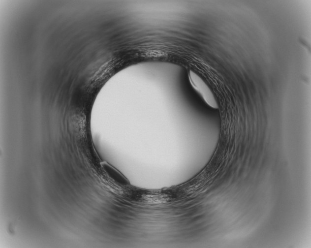 X0000095880556200802081057