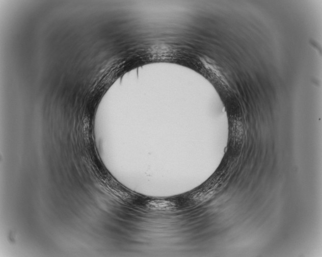 X0000095880557200802081057