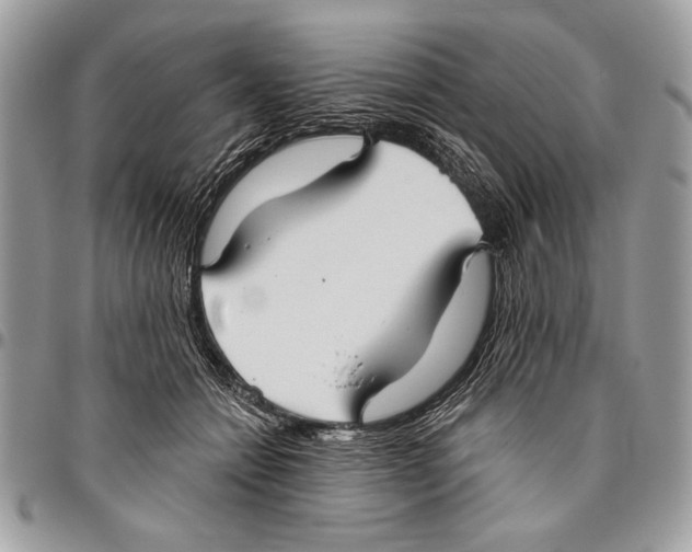 X0000095880558200802081057