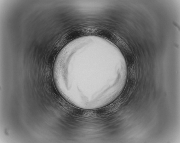 X0000095880561200802081058