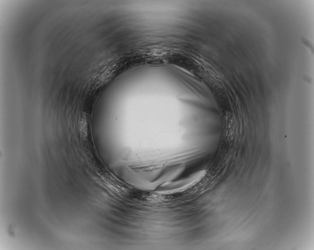 X0000095880562200802081058