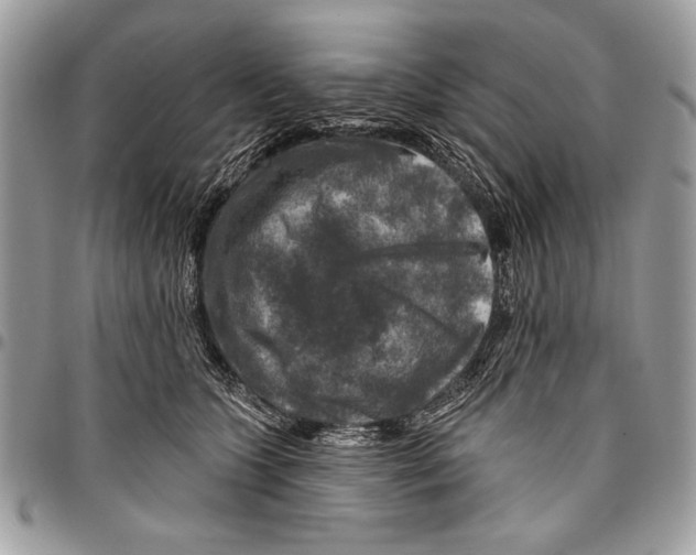 X0000095880563200802081058