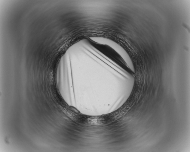 X0000095880564200802081058