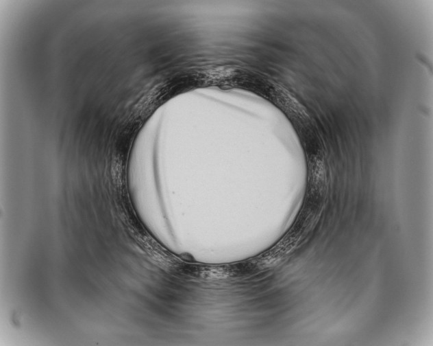 X0000095880565200802081058