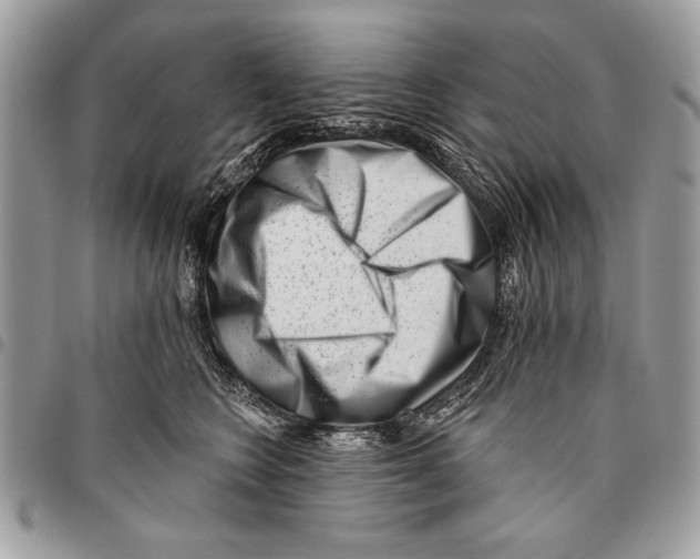 X0000095880566200802081058