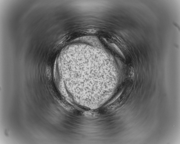 X0000095880568200802081058