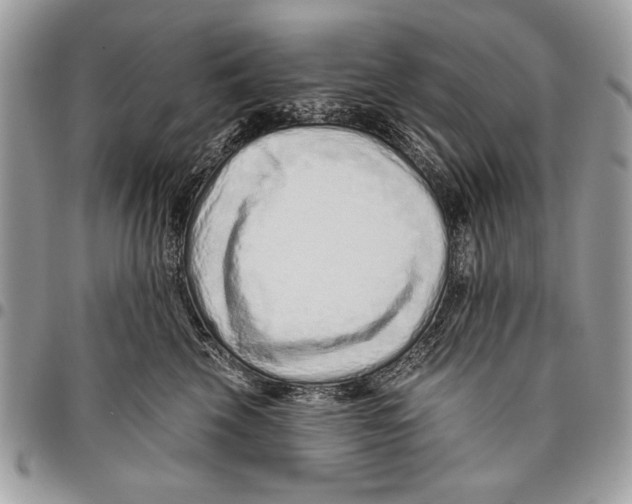 X0000095880569200802081058