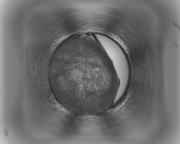 X0000095880577200802081057