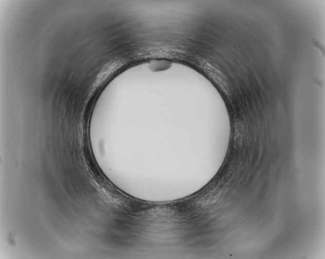 X0000095880578200802081057