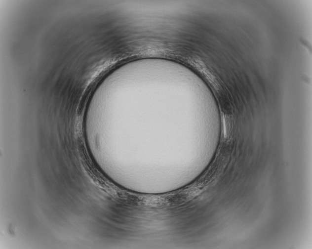 X0000095880579200802081057