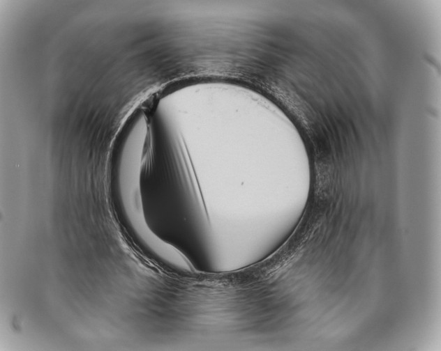 X0000095880580200802081057