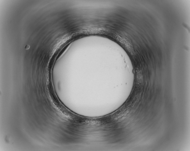 X0000095880582200802081057