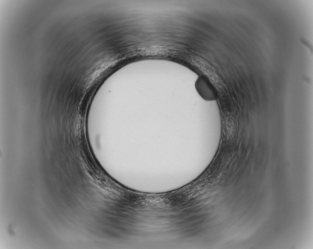 X0000095880583200802081057