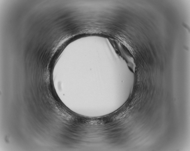 X0000095880584200802081057