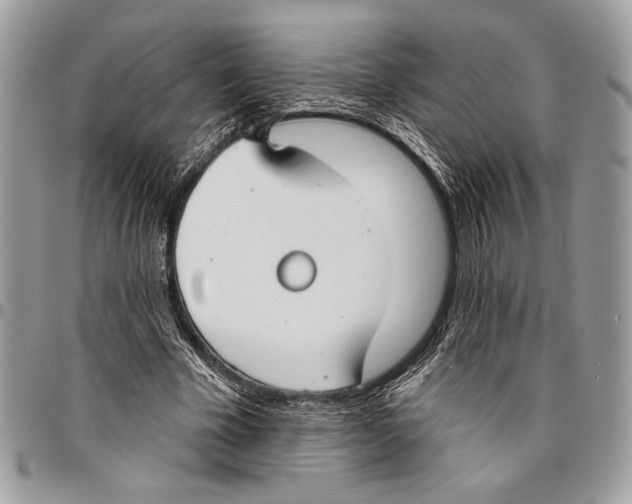 X0000095880585200802081057